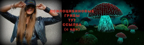 крисы Верея