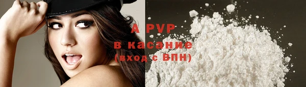 крисы Верея