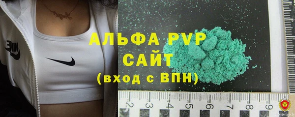 эйфоретик Болотное