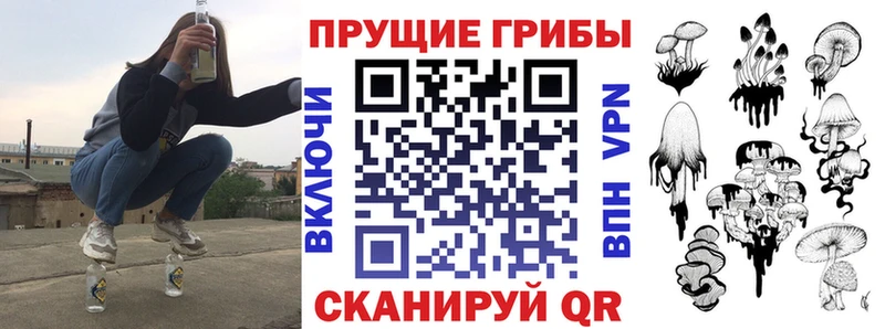 ОМГ ОМГ   Гремячинск  Галлюциногенные грибы GOLDEN TEACHER 